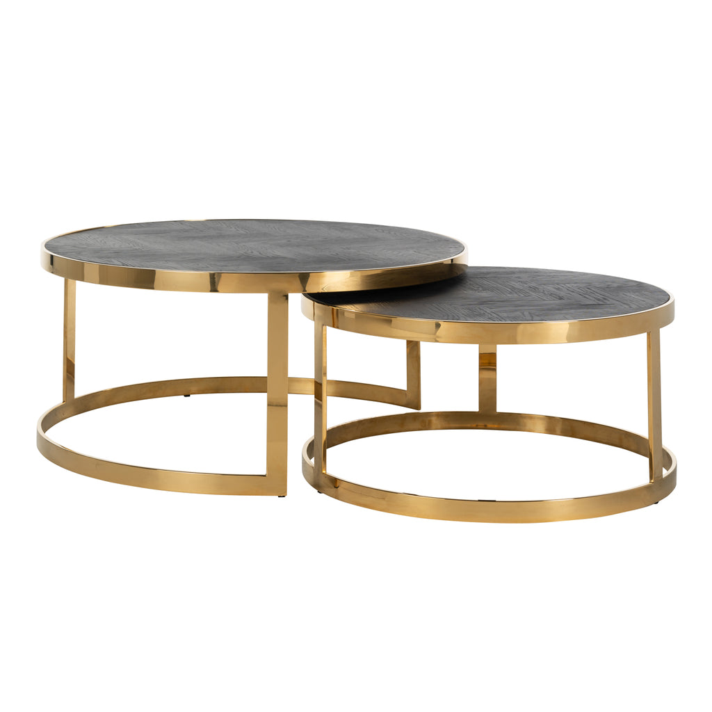 Blackbone gold coffee table set of 2